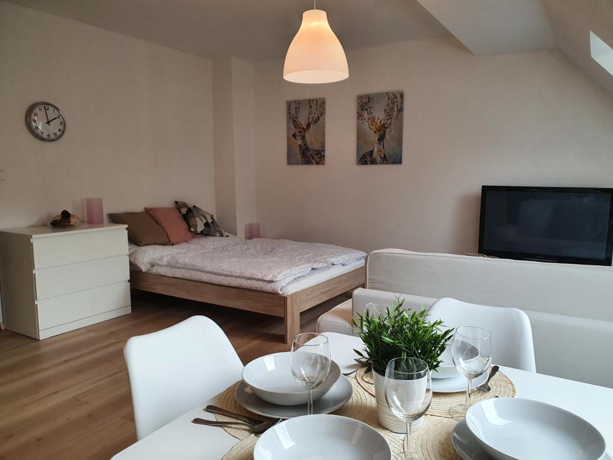 Mikulov v Krusnych Horach Apartmany Brachovna מראה חיצוני תמונה